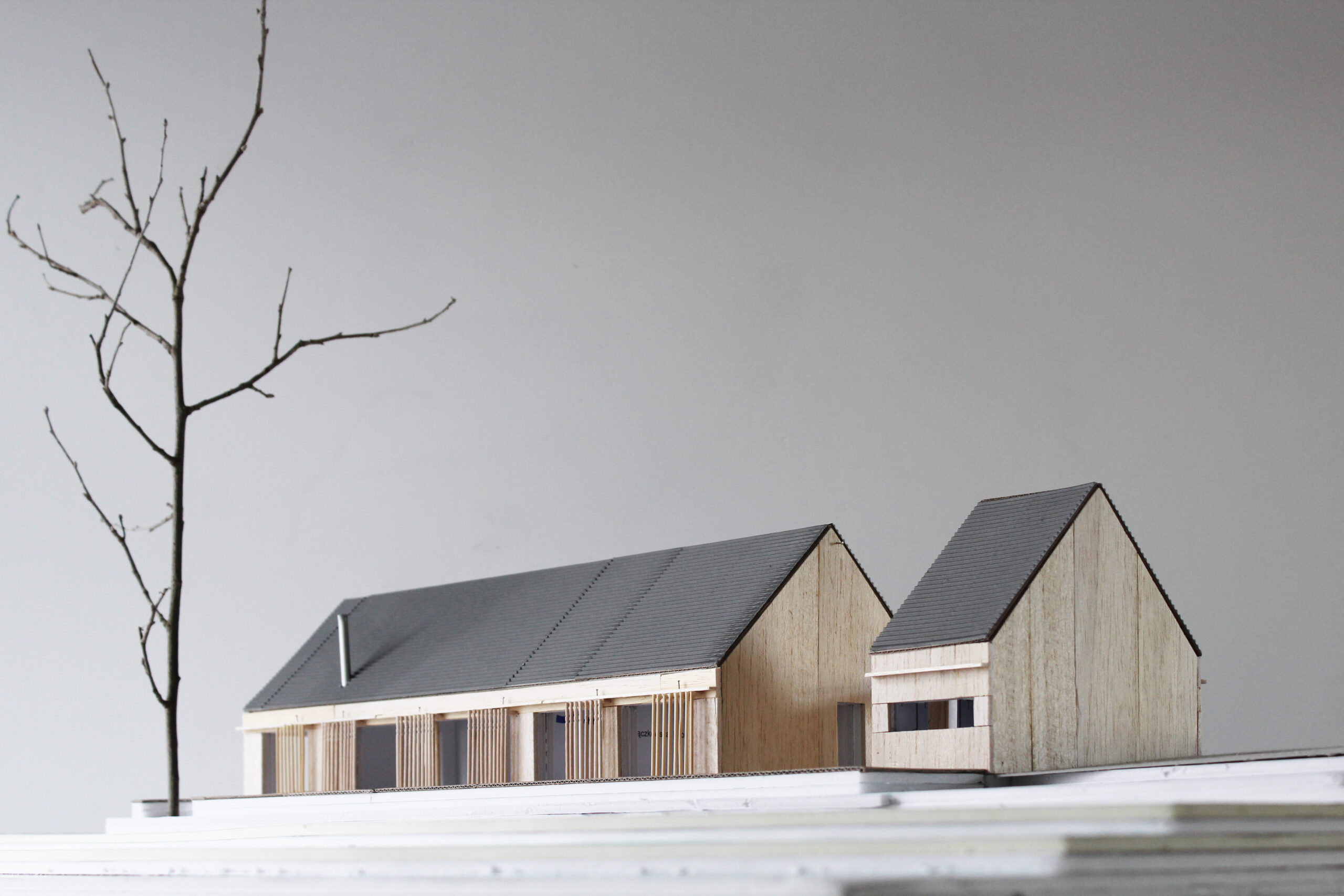 IMG_0878_jasniej_desaturacja