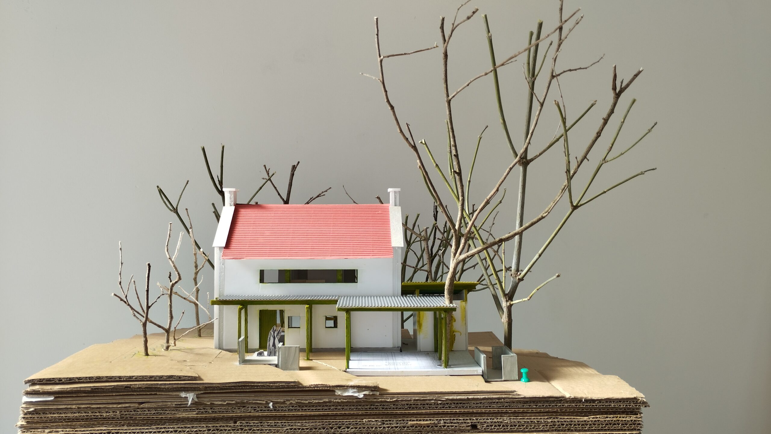 IMG_20250401_103651(1)